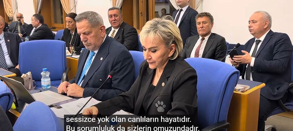 CHP’li Özdemir’den Tarım Bakanı’na Sahipsiz Hayvanlar İçin Soru Yağmuru