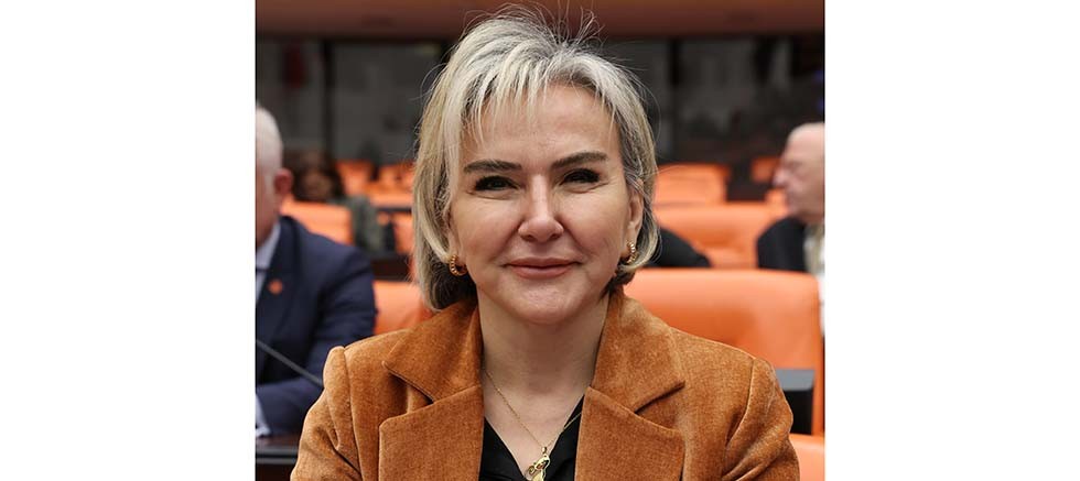 CHP'li Özdemir Türkiye'de kayıp çocukları Meclis'e sordu