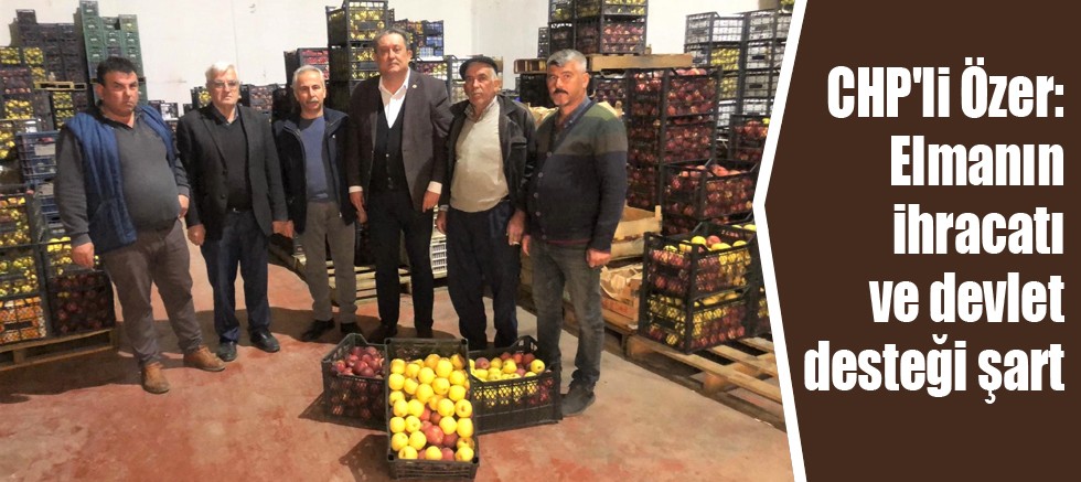 CHP'li Özer: Elma depoda kalacağına ihracat artırılmalı