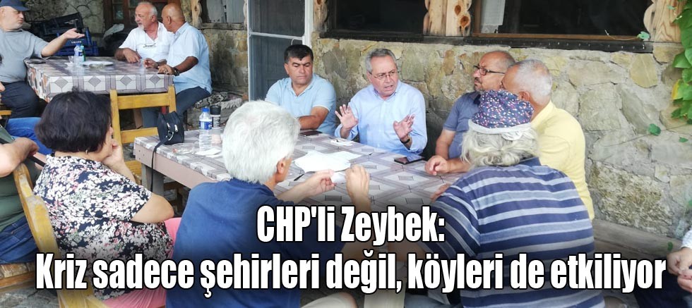 CHP'li Zeybek: Kriz sadece şehirleri değil, köyleri de etkiliyor