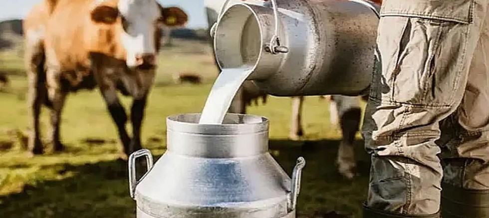 Çiğ süt üretimi 2025 yılında %4,9 azalarak 21 milyon 379 bin 88 ton oldu