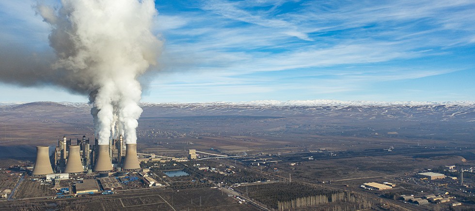  Doğa İçin Sorumluluk Hepimizde: TEMA Vakfı 2025’in Çevre Olaylarını Değerlendirdi