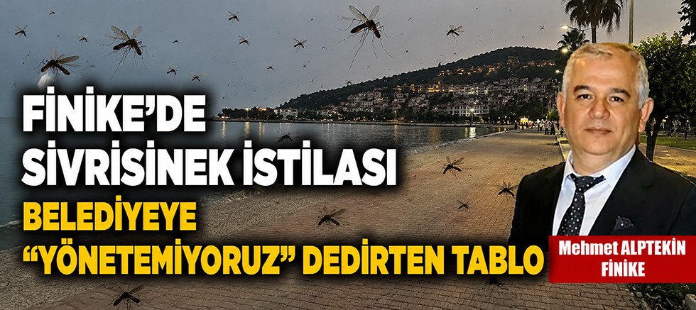 Finike'de sivrisinek istilası!
