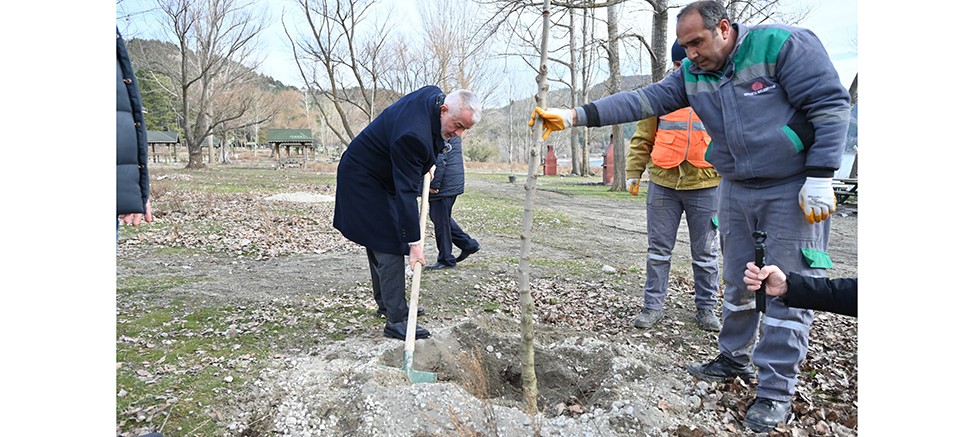 Gölcük Tabiat Parkı’nda çeşit çeşit fidanlar toprakla buluştu