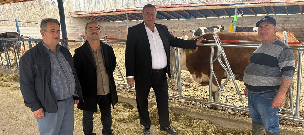 Gürer: “Artan Maliyetler Süt Üreticisini Bitiriyor”