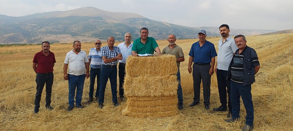 Gürer: “Buğday ve arpa alım fiyatı çiftçinin yüzünü güldürmedi”
