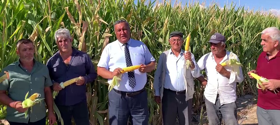 Gürer’den TMO’ya mısır alım fiyatı için acil çağrı