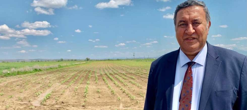 Gürer: Elektrik maliyetleri tarımsal üretimi durma noktasına getiriyor