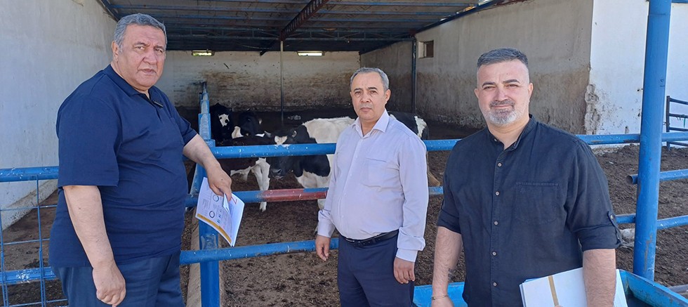 Gürer: “Hayvancılıkta ithalatçı lobisi yerli üretimin önünü kesiyor” 