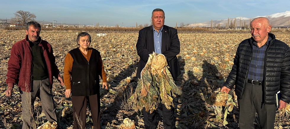 Gürer: “İsraf Tarlada Başlıyor, Üretici Yalnız Bırakılıyor”