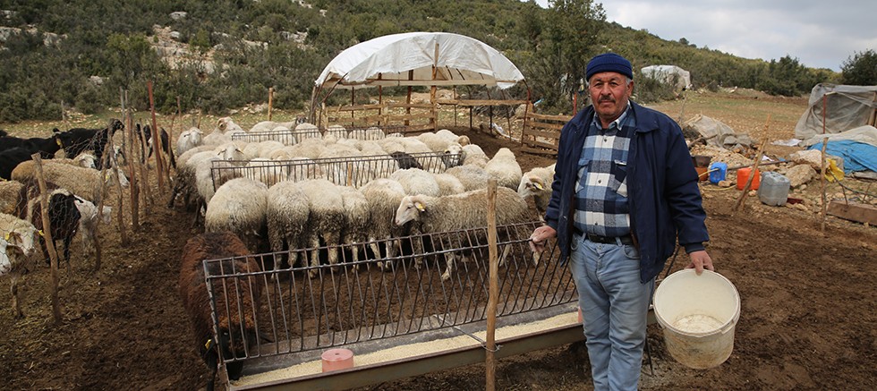 Hayvancılara Çoban Haritası desteği