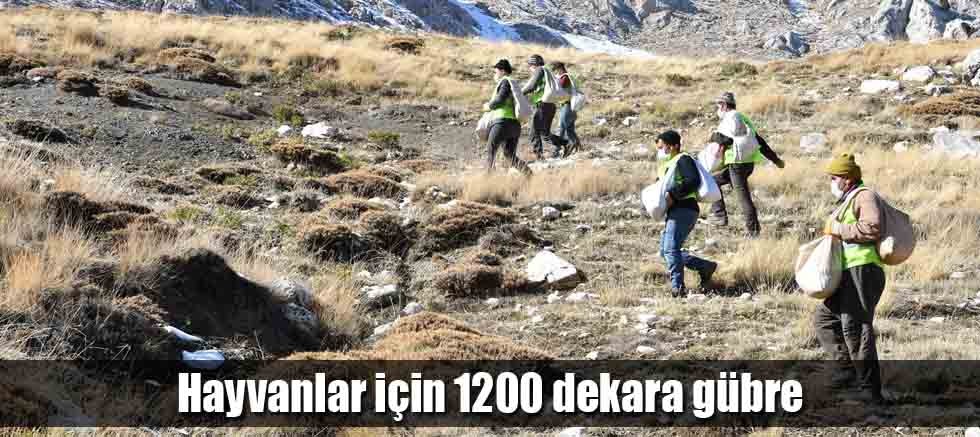 Hayvanlar için 1200 dekara gübre