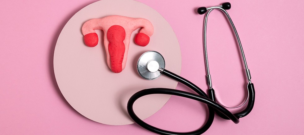 HPV aşısı ücretsiz oluyor