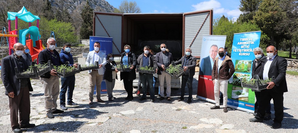 İbradı tıbbi aromatik bitkilerin merkezi olacak