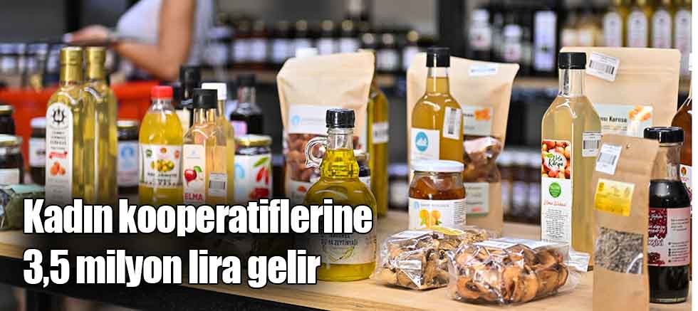 Kadın kooperatiflerine 3,5 milyon lira gelir