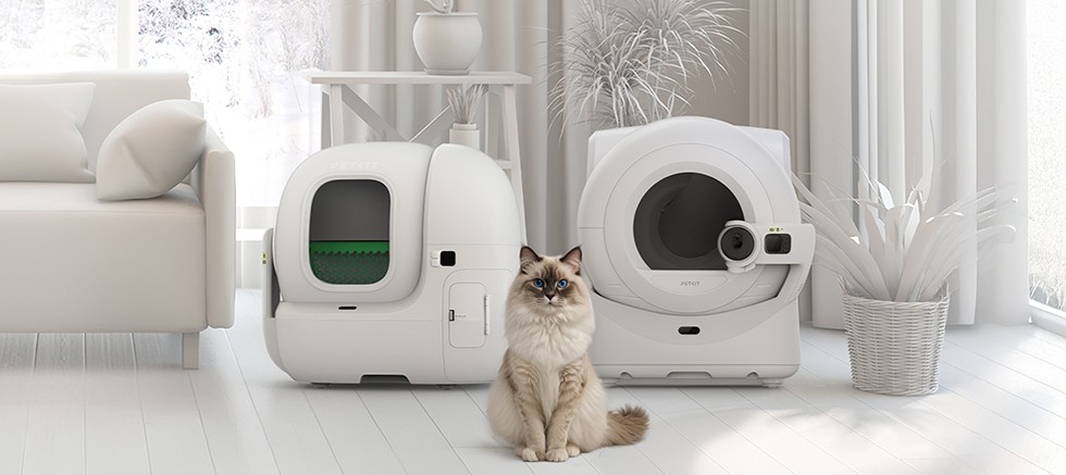 Kedili evlerde kış hazırlığı: hijyen ve konfor için yeni nesil çözümler