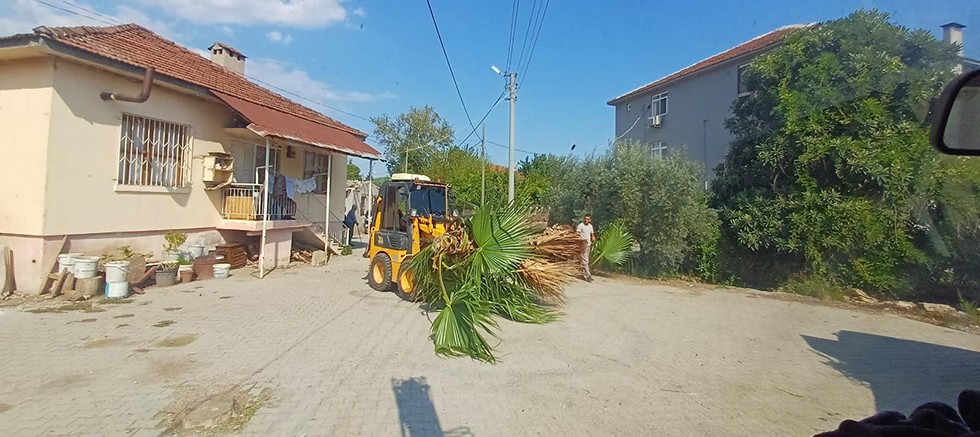 Kemer’de budama çalışmaları 