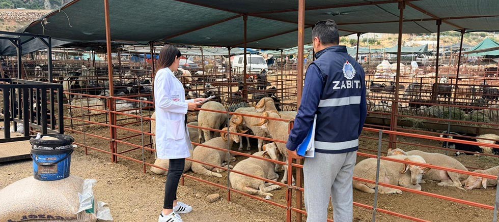 Kepez’de kurban satış ve kesim yerleri denetim altında