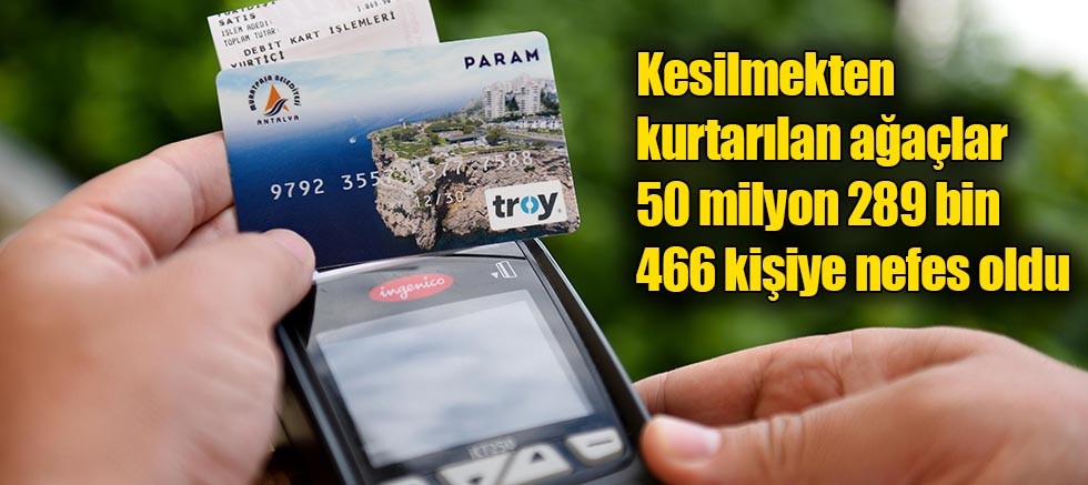 Kesilmekten kurtarılan ağaçlar 50 milyon 289 bin 466 kişiye nefes oldu
