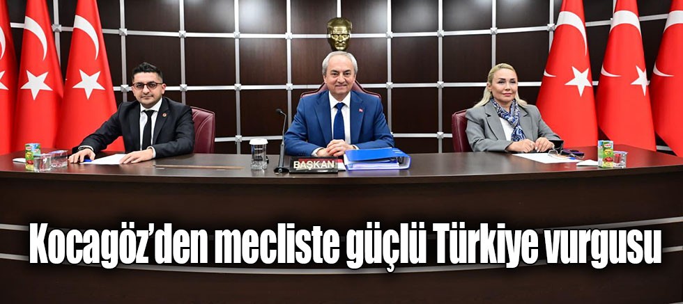 Kocagöz’den mecliste güçlü Türkiye vurgusu