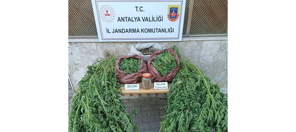  Korkuteli İlçesinde Uyuşturucu Operasyonu