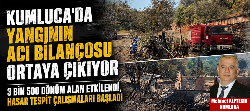 Kumluca'da yangının acı bilançosu ortaya çıkıyor