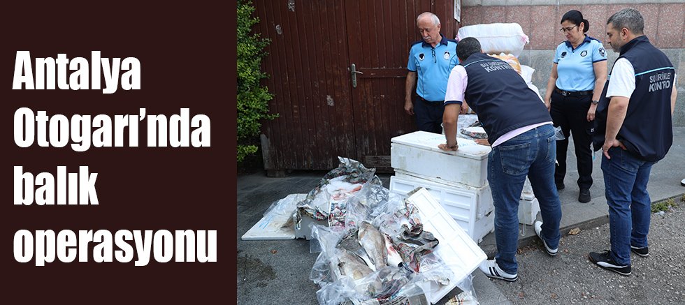 Antalya Otogarı’nda balık operasyonu