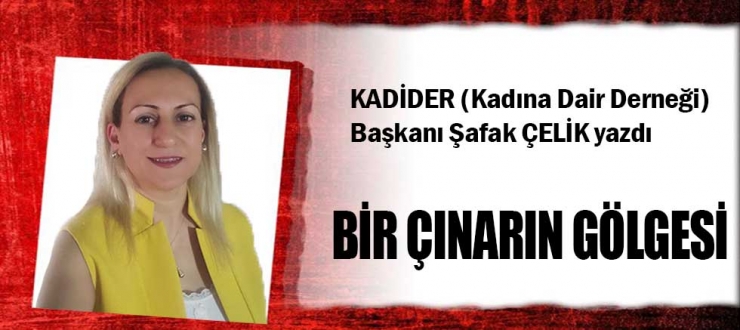 BİR ÇINARIN GÖLGESİ