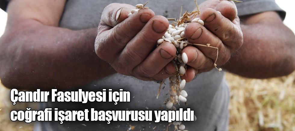Çandır Fasulyesi için coğrafi işaret başvurusu yapıldı