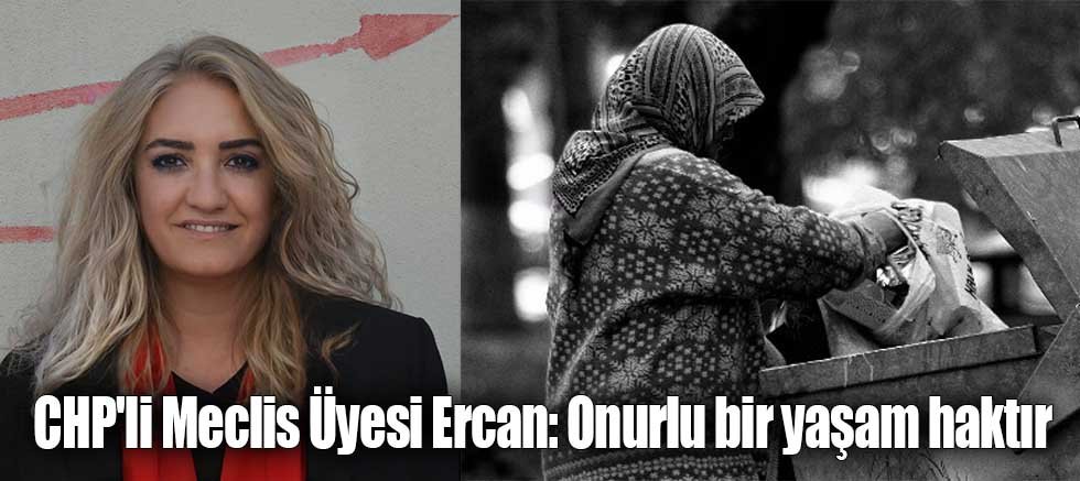 CHP'li Meclis Üyesi Ercan: Onurlu bir yaşam haktır