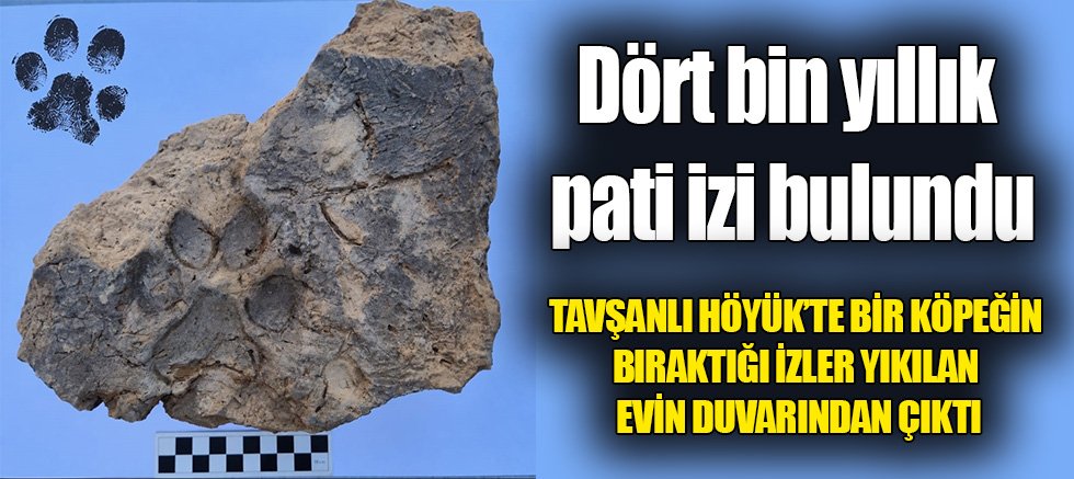 Dört bin yıllık pati izi bulundu