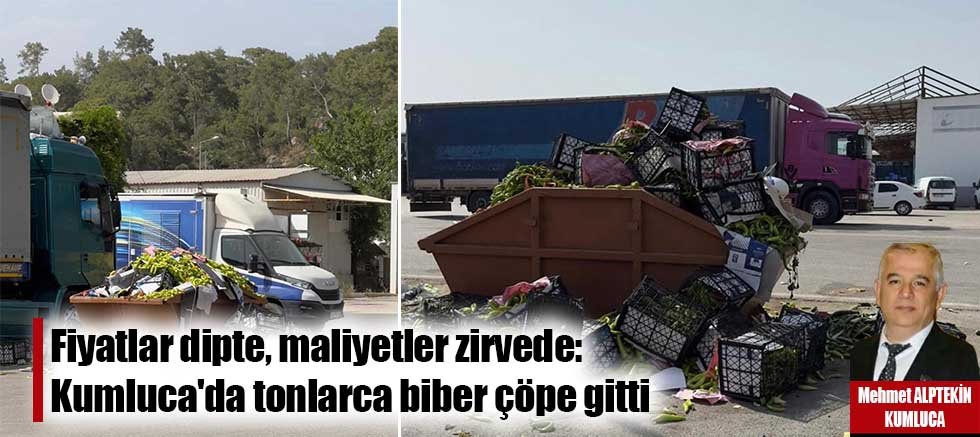 Fiyatlar dipte, maliyetler zirvede: Kumluca'da tonlarca biber çöpe gitti