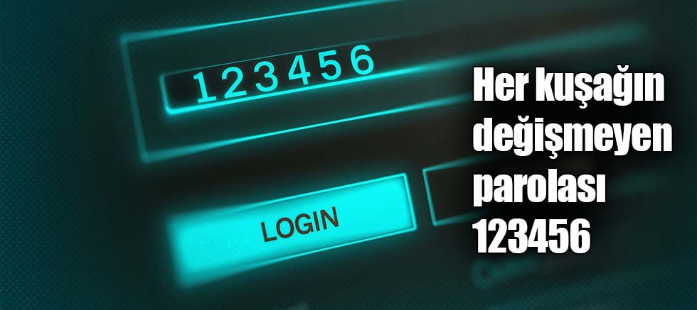 Her kuşağı değişmeyen parolası 123456