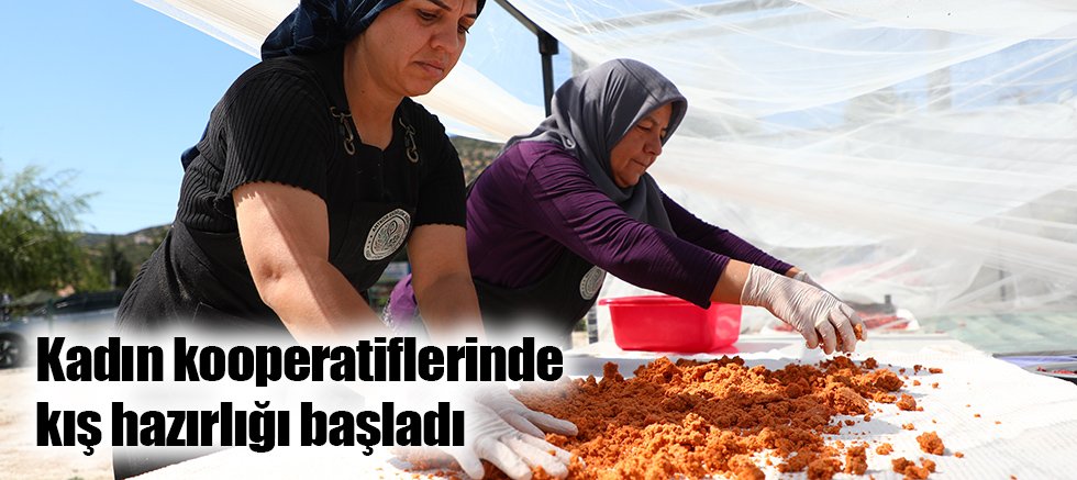 Kadın kooperatiflerinde kış hazırlığı başladı