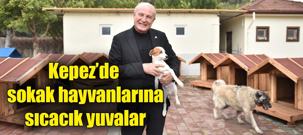 Kepez’de sokak hayvanlarına sıcacık yuvalar