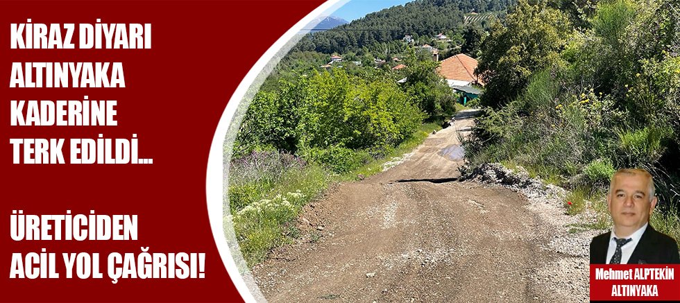 Kiraz diyarı Altınyaka kaderine terk edildi, üreticiden acil yol çağrısı!
