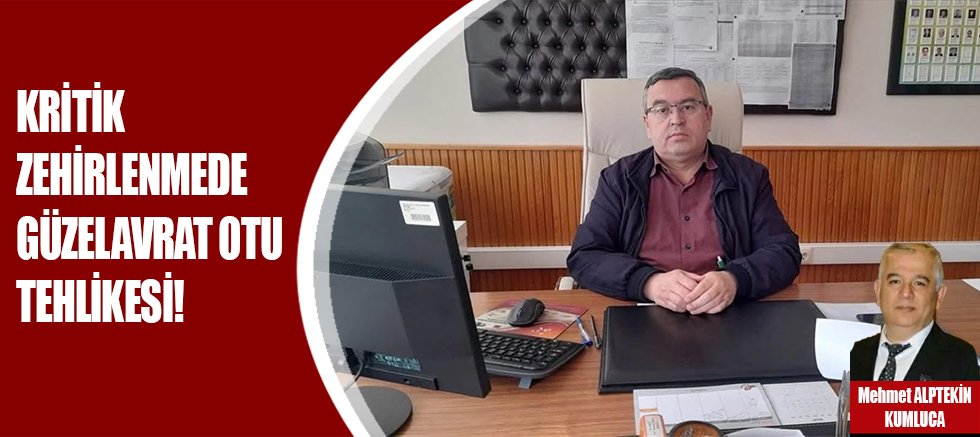 KRİTİK ZEHİRLENMEDE GÜZELAVRAT OTU TEHLİKESİ!