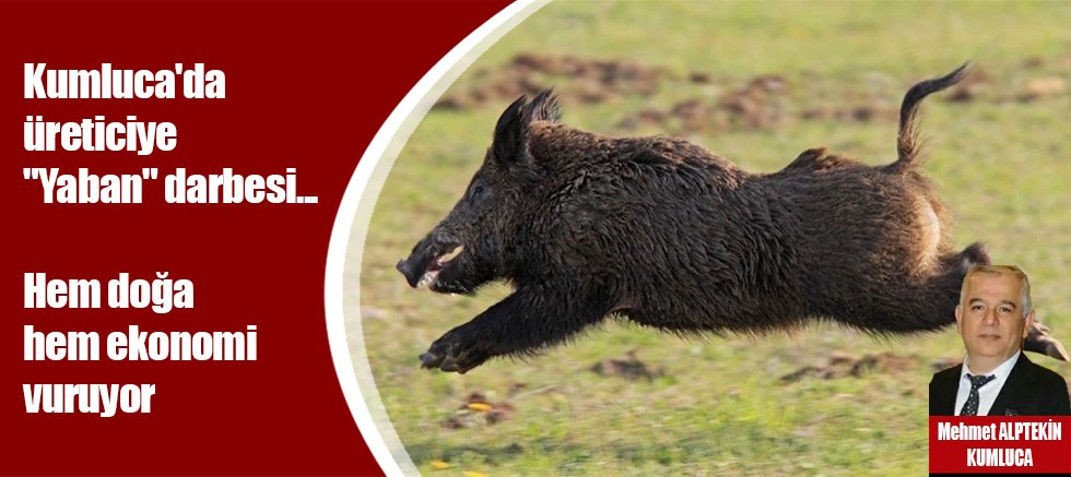 Kumluca'da üreticiye 