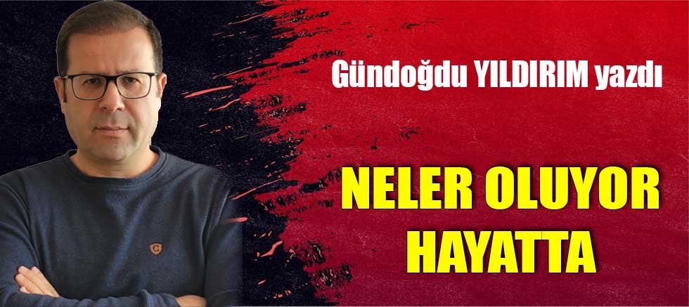NELER OLUYOR HAYATTA