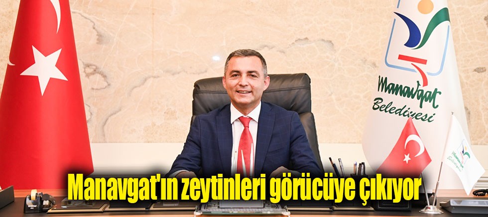 Manavgat'ın zeytinleri görücüye çıkıyor