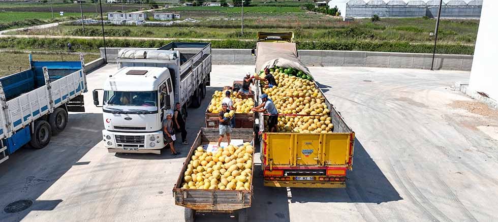 Manavgat Yeni Hal Toptancı Kompleksi üreticilerin ve tüccarların yüzlerini güldürüyor