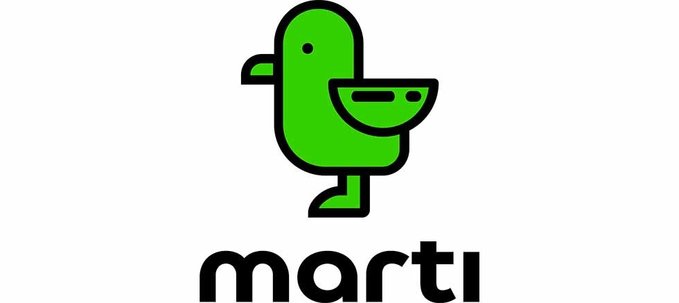 Martı, mahkeme kararıyla e-ulaşım lisansını aldı