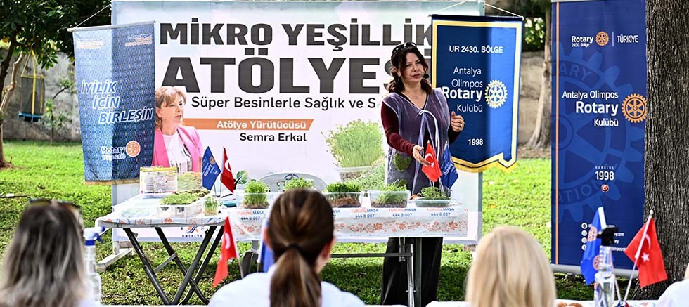 Mikro yeşilliklerle minyatür bahçeler oluşturdular