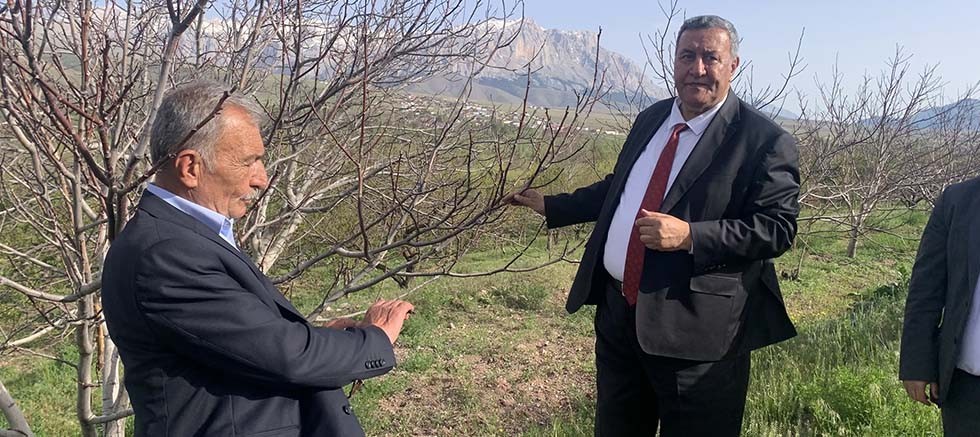 Ömer Fethi Gürer: 