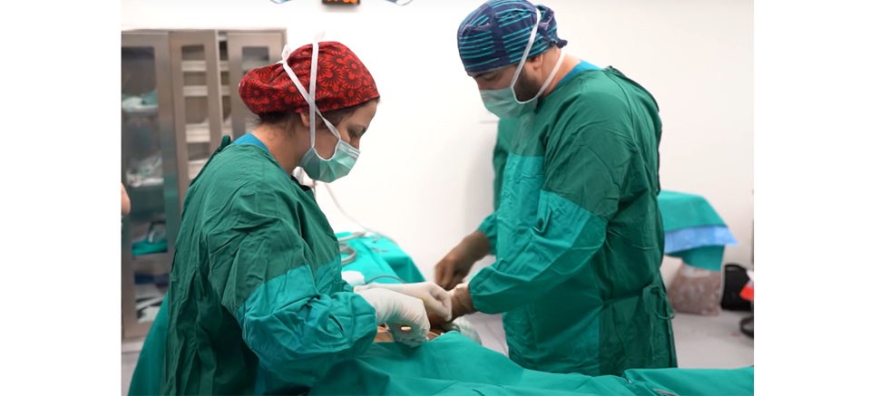 Op. Dr. Serkan Balta, “Plastik cerrahinin ticarete dönüşmesi sağlığı riske  atıyor” | Haberler > SAĞLIK