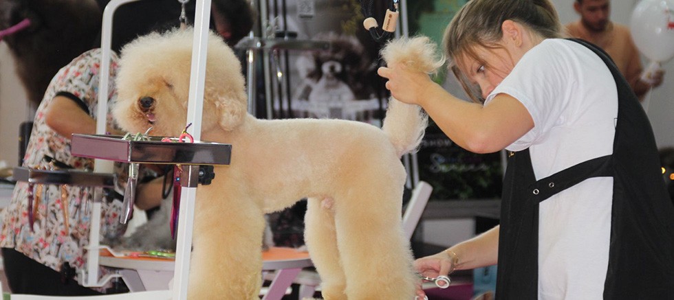 Pet İzmir 2026 Fuarı - Evcil Hayvan Sektörünün Buluşma Noktası