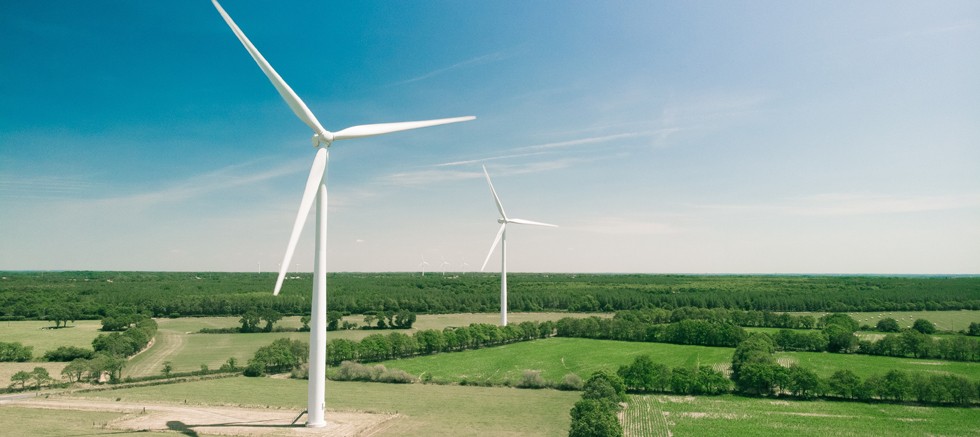 Rüzgarın gününde dünya yenilenebilir enerjiye kucak açıyor