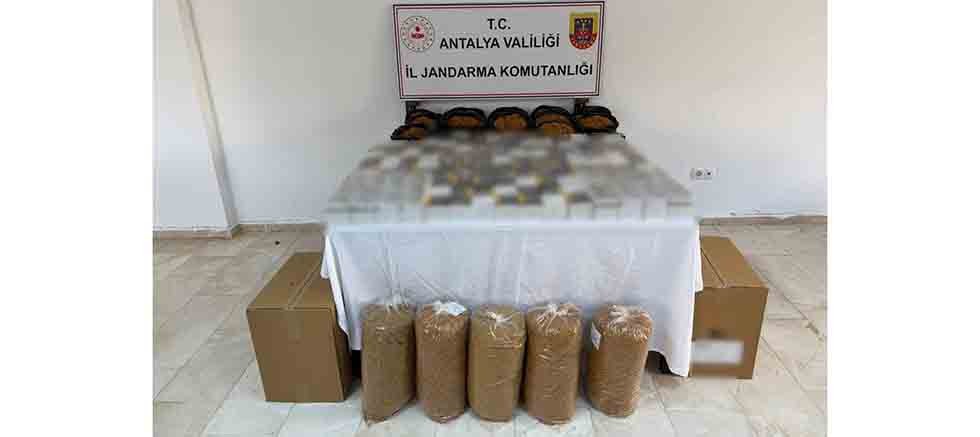 Serik İlçesinde Kaçak Tütün Operasyonu