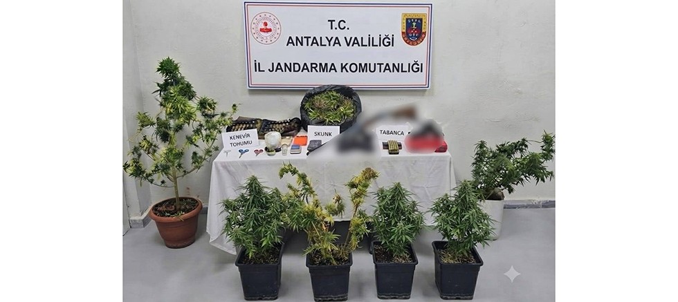Serik ve Alanya İlçelerinde Uyuşturucu Operasyonu