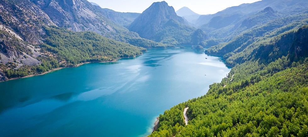 Su ve Orman: Doğanın, Refahın ve Eşitliğin Temel Taşları